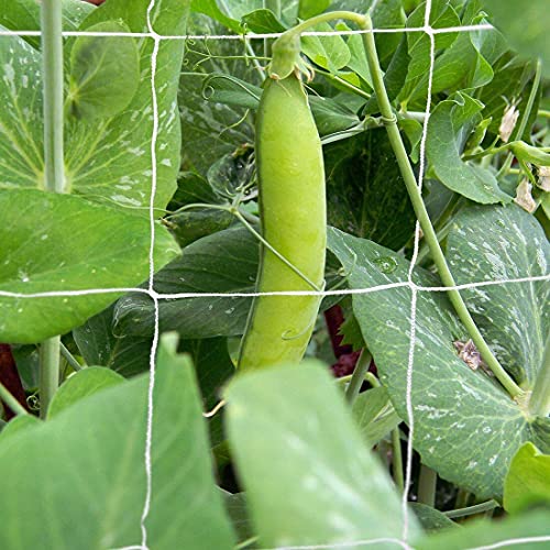 Tcamp Heavy-Duty Polyester Garden Trellis Netting, 5Ft x15Ft (1 Pack) - size: 3.5" Mesh (5*15Ft)