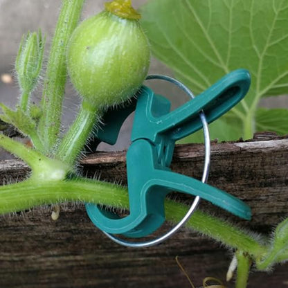 Plant Support Clips, 80 PCS, 2 Sizes
