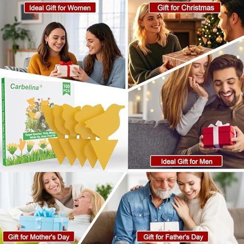 Fruit Fly Traps for Indoors -20 PCS Yellow Sticky Traps - color: Color E-20PCS