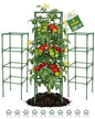 3 Pack Tomato Cages,Square Tomato Plant Stakes Support Cages Trellis for Garden Climbing Vegetables Flowers Fruits,Extra Bold - color: green