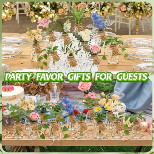 48PCS Plant Propagation Stations 3.35'' Plastic Propagation Jars Clear Vase - size: 48 Pack