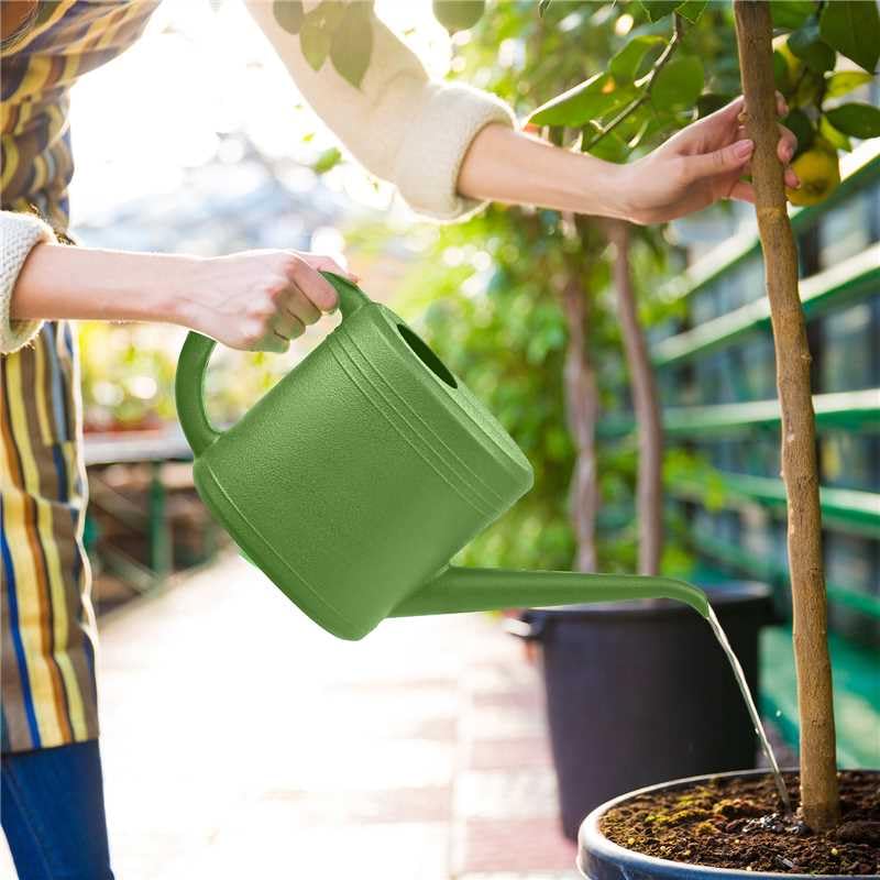 Plant Watering Can for Home Garden - with Long Spout - 1/4 Gallon - Green - color: Green