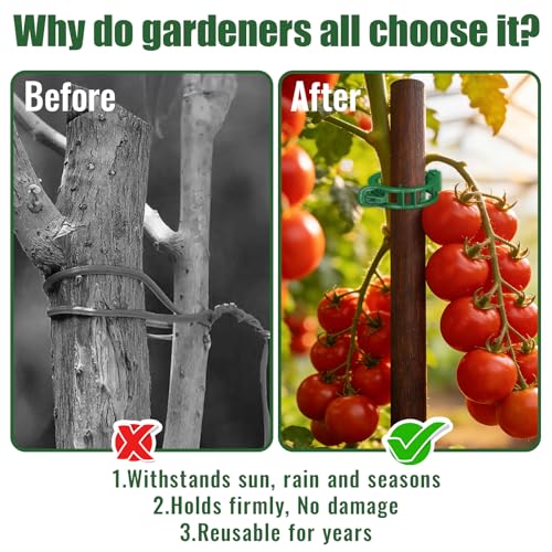 300Pcs Thickened Tomato Clips, Plant Support Clips Plastic Trellis Clips - color: Green