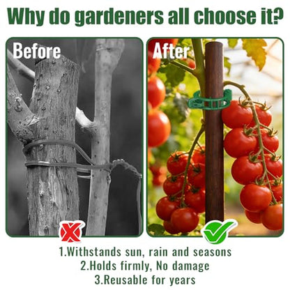 300Pcs Thickened Tomato Clips, Plant Support Clips Plastic Trellis Clips - color: Green