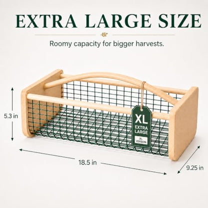 Extra Large Garden Harvest Basket for Vegetables - size: Extra Large