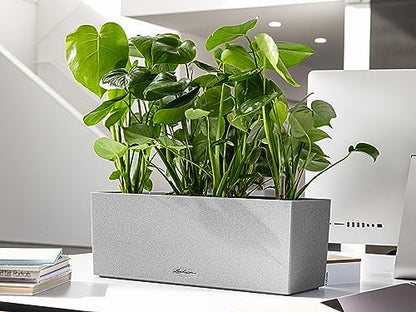 Lechuza BALCONERA Stone 50 Stone Grey, Self-Watering Window Box (Railing Planter), H7.5 L19.7 W7.5 in - color: Gray, style: 50