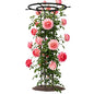 Trellis for Climbing Plants Outdoor - 69" Height-Adjustable Plant Support - size: 69"H-1pcs
