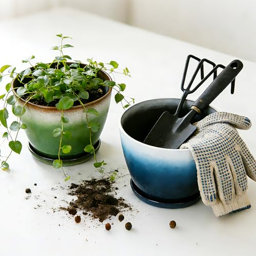 Worth 8 in. Small Plant Pots, Plastic Round 8" Flower Pots Set of 6