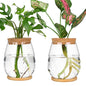 Plant Propagation Station,2 Pcs Glass Vases with Wooden Stand & Lid - size: 4.2" L x 4.2" W x 5.2"H