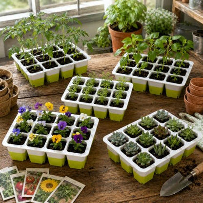 120 Cells Reusable Seed Starter Trays, 10-Pack Seed Starter Kit for Indoor