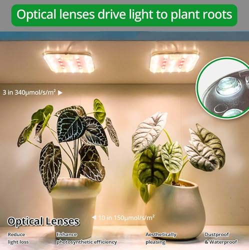Under Shelf Grow Light, Auto Timer, Dimmable, Warm White, 1-Pack - color: Warm White