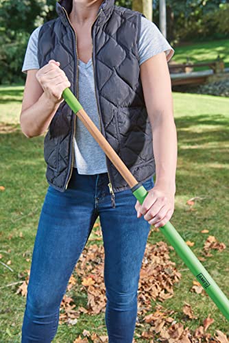 AMES 20201033 Steel Tine Leaf Rake with Hardwood/Steel Handle, 22 Tines