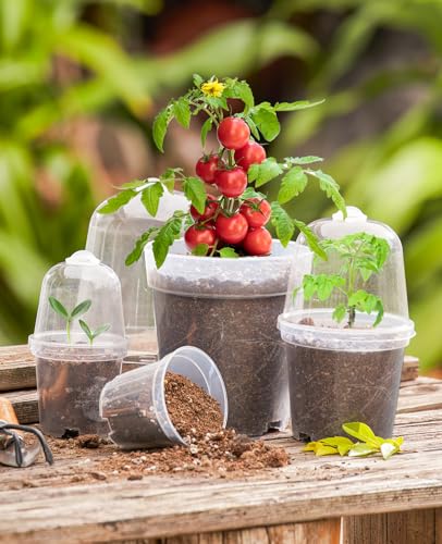 homenote 3/4/5 Inch Clear Nursery Pots with Domes for Propagation (15 Pcs) - color: Transparency-with Lid, size: 3/4/5 Inch-15 Pack