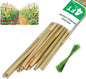 Natural Bamboo Plant Stake, （4FT 30Pcs） Sturdy Bamboo Poles, Durable Plant Bamboo Stake, Garden Climbing Plant Bracket. - size: 4ft-30PCS
