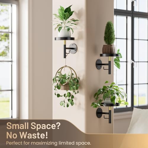 YUOROS 3 Pack Wall Plant Holder Wall Planters for Indoor Plants (Black) - color: Black