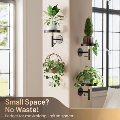 YUOROS 3 Pack Wall Plant Holder Wall Planters for Indoor Plants (Black) - color: Black