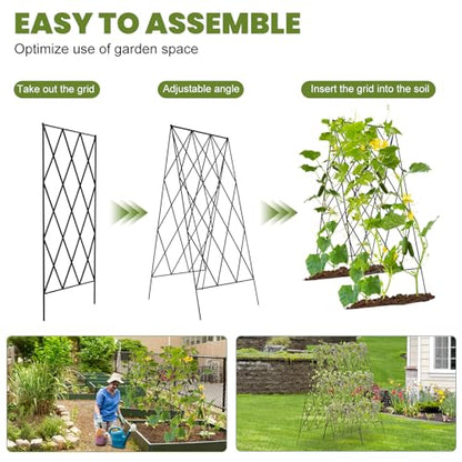 Cucumber Trellis 2 Pack,Foldable A-Frame Garden Trellis - color: Black, size: 39.4" H