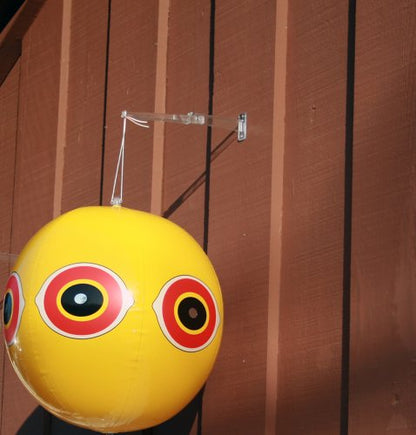 Bird B Gone Scare Eye Balloon Bird Deterrent, 1-Pack