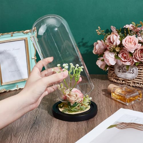 UNICRAFTALE Clear Cloche Glass Dome 7.87"x3.54" Handmade Glass Cloche Antique Collectibles Dome Showcase Decorative Bell Jar for Plants Medals Photos Fairy Lights Table Decor - size: 9x20cm