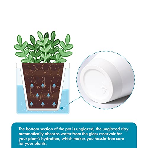 D'vine Dev Self-Watering White Terracotta Planter, 4 in, 4-Pack, 37-Z-A-2-F - color: White
