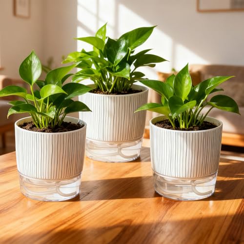3 Pack Self Watering Pots for Indoor Plants, 5.5 Inch Plant Pots - color: Medium, 3pcs Black Stripes
