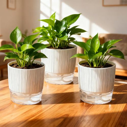 3 Pack Self Watering Pots for Indoor Plants, 5.5 Inch Plant Pots - color: Medium, 3pcs Black Stripes