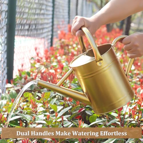 Gold Watering Can for Outdoor&Indoor Plants，1 Gallon - color: Gold