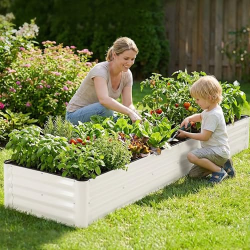 8x2x1 Ft Galvanized Raised Garden Bed (White)