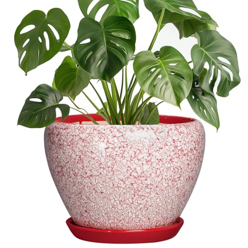 Ceramic Planter for Plants, 8 Inch Plant Pot Indoor, Crackle Red - color: Crackle Red, size: 8 Inch