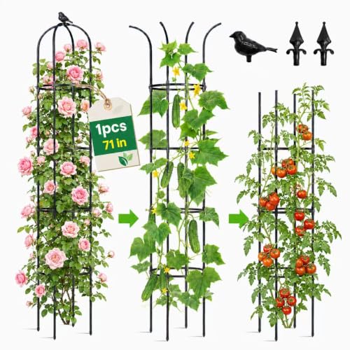 OTOSUNNY Garden Obelisk Trellis for Climbing Plants Outdoor, 6.3 ft Tall Trellis for Roses Clematis Jasmine Ivy Flower Light Climbing Vines Potted Plant Support, Patio, Yard, Black, 2PCS - size: 1 pack 75.6 in