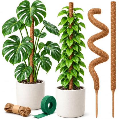 30" Moss Pole Monstera Plant Support, Plant Stakes for Indoor Plants - size: 2-Pack (30 in)
