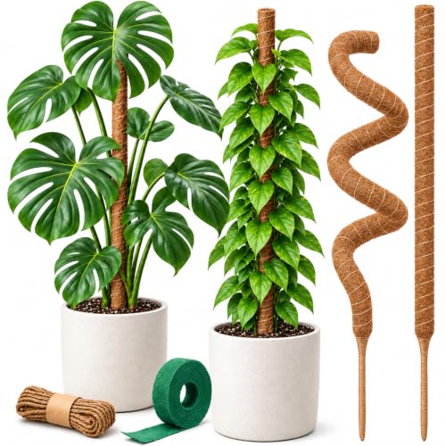 30" Moss Pole Monstera Plant Support, Plant Stakes for Indoor Plants - size: 2-Pack (30 in)