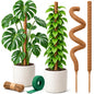 30" Moss Pole Monstera Plant Support, Plant Stakes for Indoor Plants - size: 2-Pack (30 in)