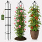 Garden Obelisk Trellis for Climbing Plants,6.3 ft, Black, 2PCS