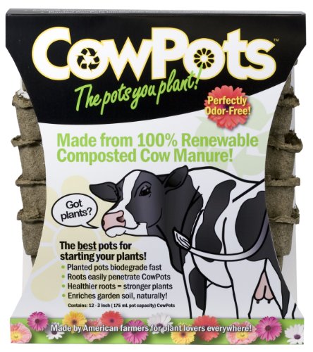 CP3-12 3-Inch CowPots, 12-Pack - style: 3 inch Square