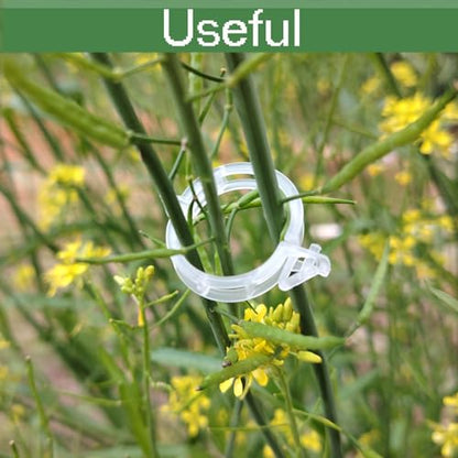 Secured Plastic Plant Clip, Plant Support Clips, Garden Clips for Climbing Plants, Plastic Trellis Clips Plant Support Clips Tomato Grape Vine Vegetables Plant Fixing Clips (100, White)