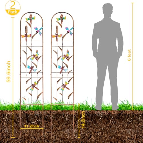aboxoo 2-Pack Dragonfly Metal Garden Trellis for Climbing Plants
