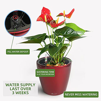 Dexceder 9x8 Self Watering Planter (Red High Gloss) - color: Red, size: 9x8