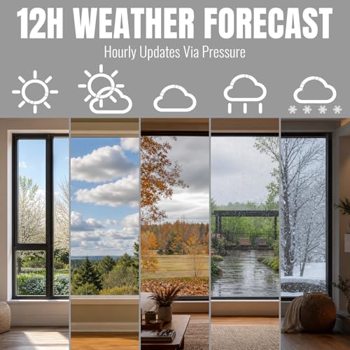 Raddy WT-2 Window Thermometer, Barometric Pressure & Forecast