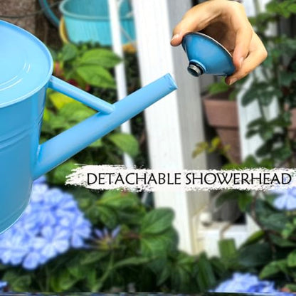 Metal Watering Can, 1 Gallon for Outdoor Garden Plants, Blue - color: Blue With Stainless Steel Handle