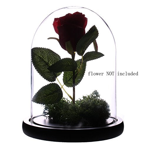Somush Glass Cloche Bell Jar Display Dome with Black Wooden Base Dia 6" x H 10"