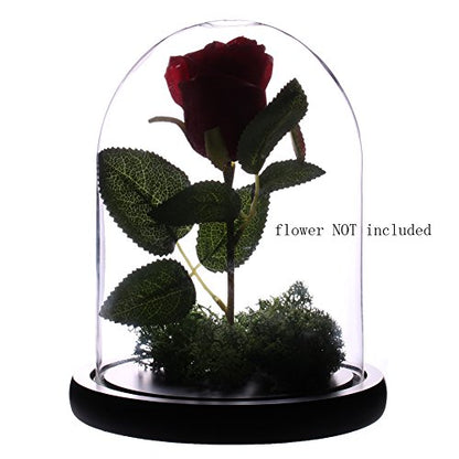 Somush Glass Cloche Bell Jar Display Dome with Black Wooden Base Dia 6" x H 10"