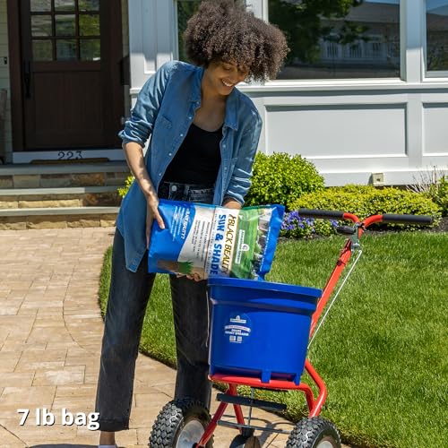 Jonathan Green Black Beauty Sun & Shade Grass Seed - 7 lb - size: 7 lb