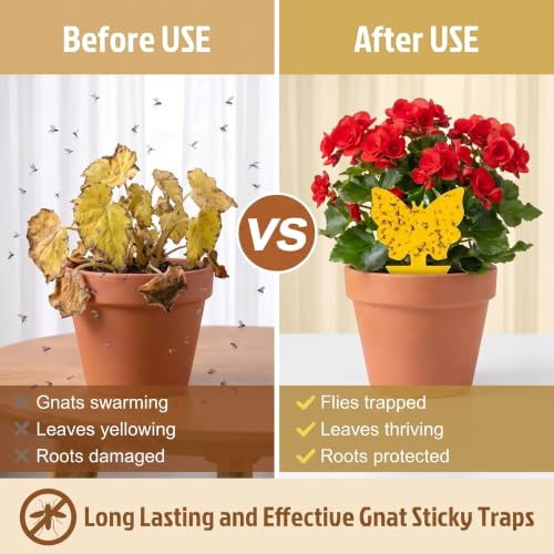 120 Pack Yellow Sticky Fungus Gnat Traps for Indoor & Outdoor Plants - size: 120 Packs