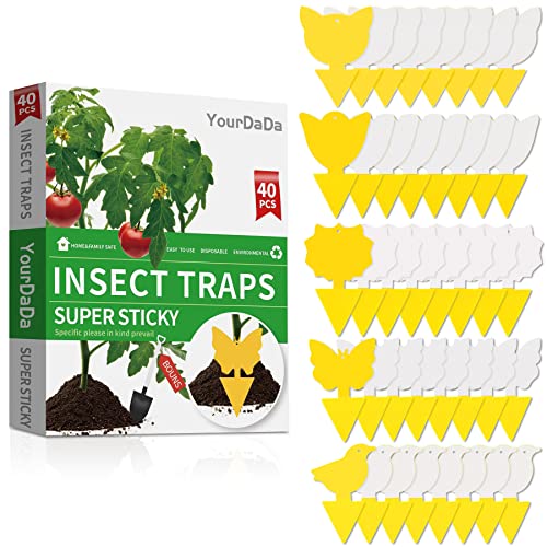 40 Pcs 5 Shapes Yellow Extremely Sticky Traps for Fungus Gnat, Fruit Fly, Fly, Whitefly, Flying Insect Catcher Traps for Houseplants, Kitchen, Indoor/Outdoor, Non-Toxic, Odorless, Pet and Kid Safe - size: 40 Pcs