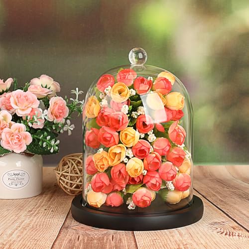 JUXYES 4.5x6 Clear Glass Display Dome Cloche with Handle & Black Wood Base - color: Black
