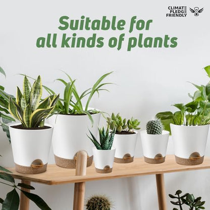 YNNICO Indoor Self Watering Planters with Drainage Holes and Saucers, 8, 7, 6.5, 6, 5.5, 5 Inches, White, 6 Pots (Pack of 2) - color: White, size: 8+7+6.5+6+5.5+5 inch (Pack of 2)