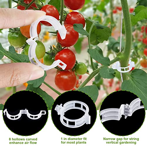 80Pcs Tomato Hooks with String, Support Hooks, Holder & Plant Support Clips with 33.3ft Twine to Prevent Pinching or Falling Off - color: White-80PCS
