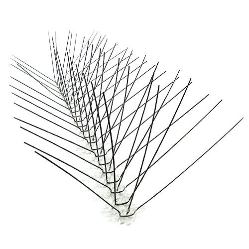 Bird-X STS-24 Regular Width 6-inch Stainless Steel Bird Spikes, Metal Pigeon Barrier, 24 Feet 6 Inch Wide Coverage - size: 24 feet