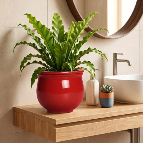 8 Inch Ceramic Self Watering Pots with Absorbent Inner Pot, Red - color: Red, size: 8 Inch